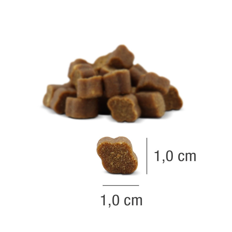 PLATINUM Fit-Bits Detox (4260208742157) | Platinum Polska