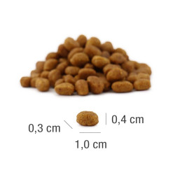 PLATINUM MeatCrisp Kitten Chicken (4260208741457) | Platinum Polska