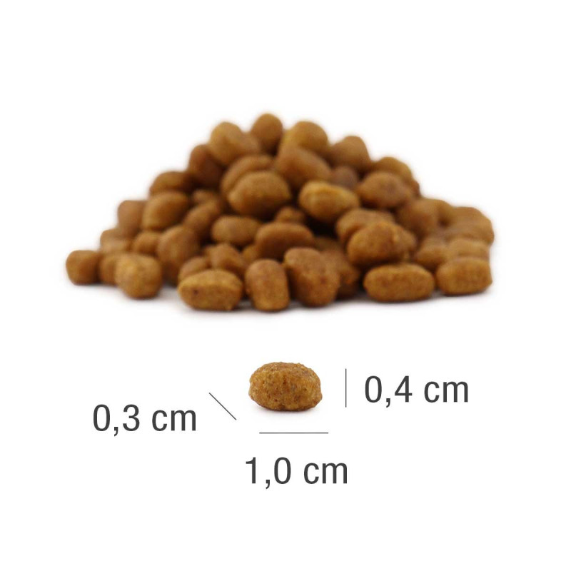 PLATINUM MeatCrisp Kitten Chicken (4260208741457) | Platinum Polska