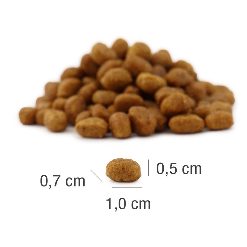 PLATINUM MeatCrisp Adult Fish (4260208742775) | Platinum Polska