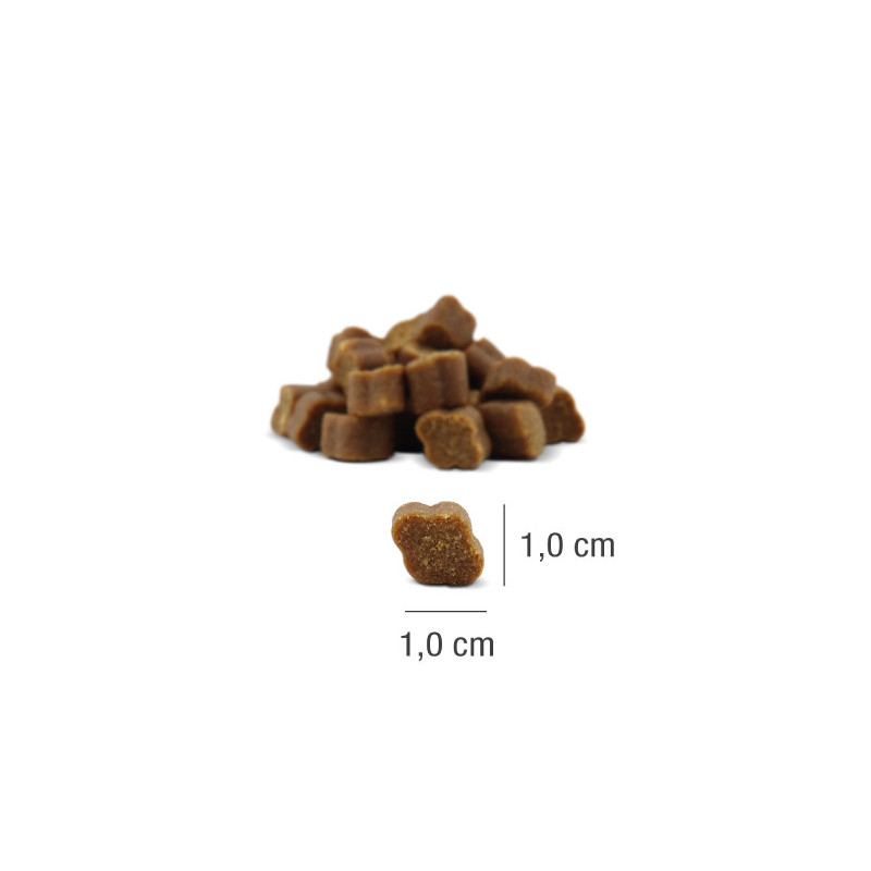 PLATINUM Fit-Bits Protect (4260208742164) | Platinum Polska