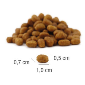 PLATINUM MeatCrisp Sterilised Salmon + Whitefish– sucha karma dla kota z łososiem i błękitkiem