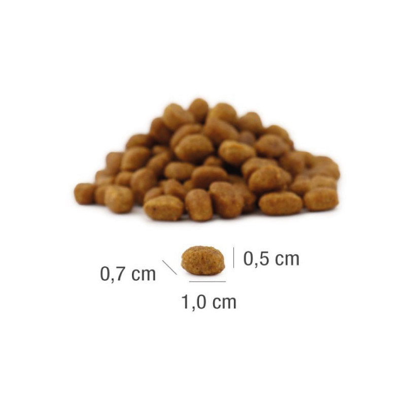 PLATINUM MeatCrisp Sterilised Salmon + Whitefish– sucha karma dla kota z łososiem i błękitkiem