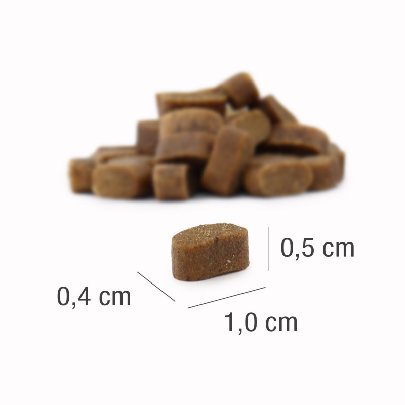 PLATINUM Adult Chicken Mini (4260208742591) | Platinum Polska