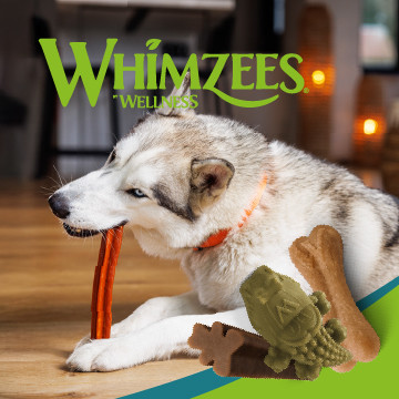 Gryzaki dentystyczne dla psa