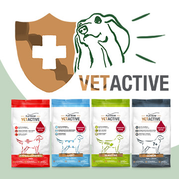 Karma weterynaryjna dla psów PLATINUM VETACTIVE