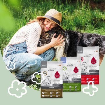 Półwilgotna karma dla psów