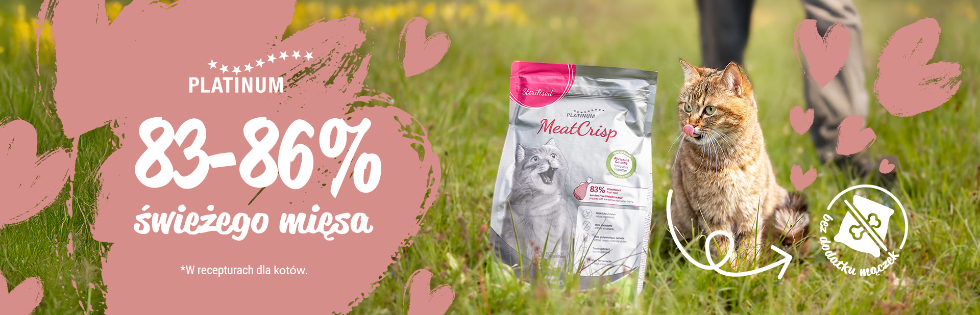 WIOSNA: PLATINUM karma dla kota