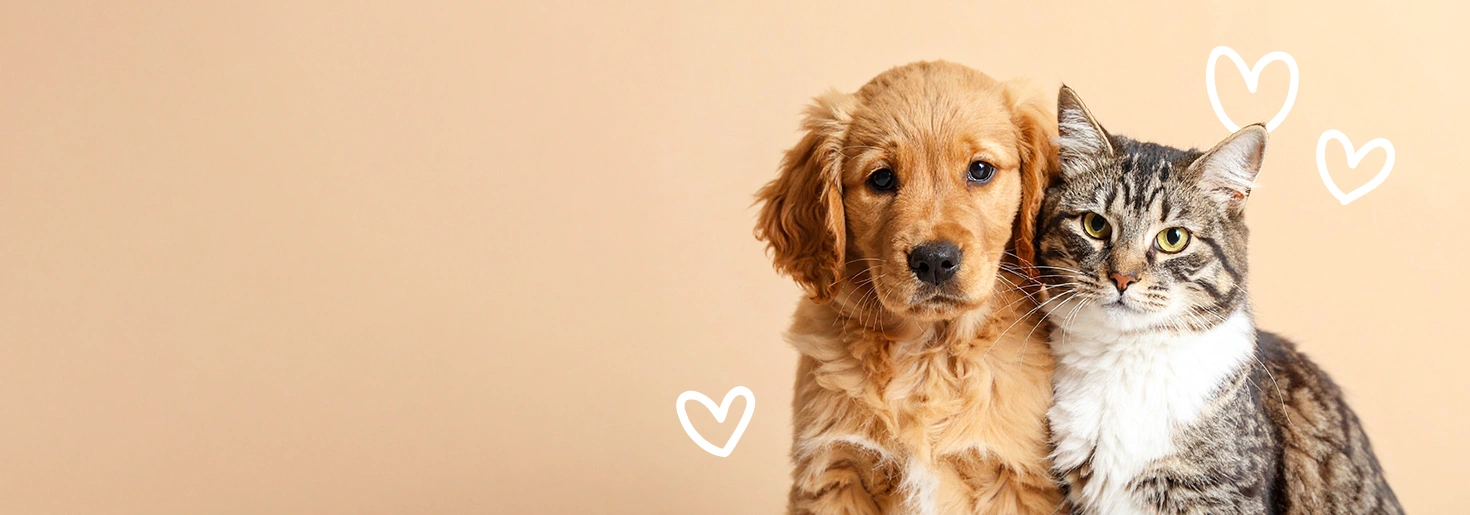 Wszystko o Twoim zwierzaku